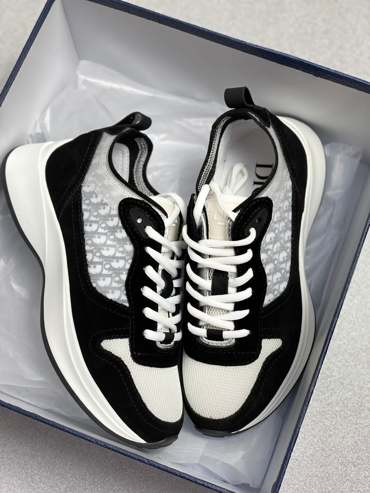 Dior b25