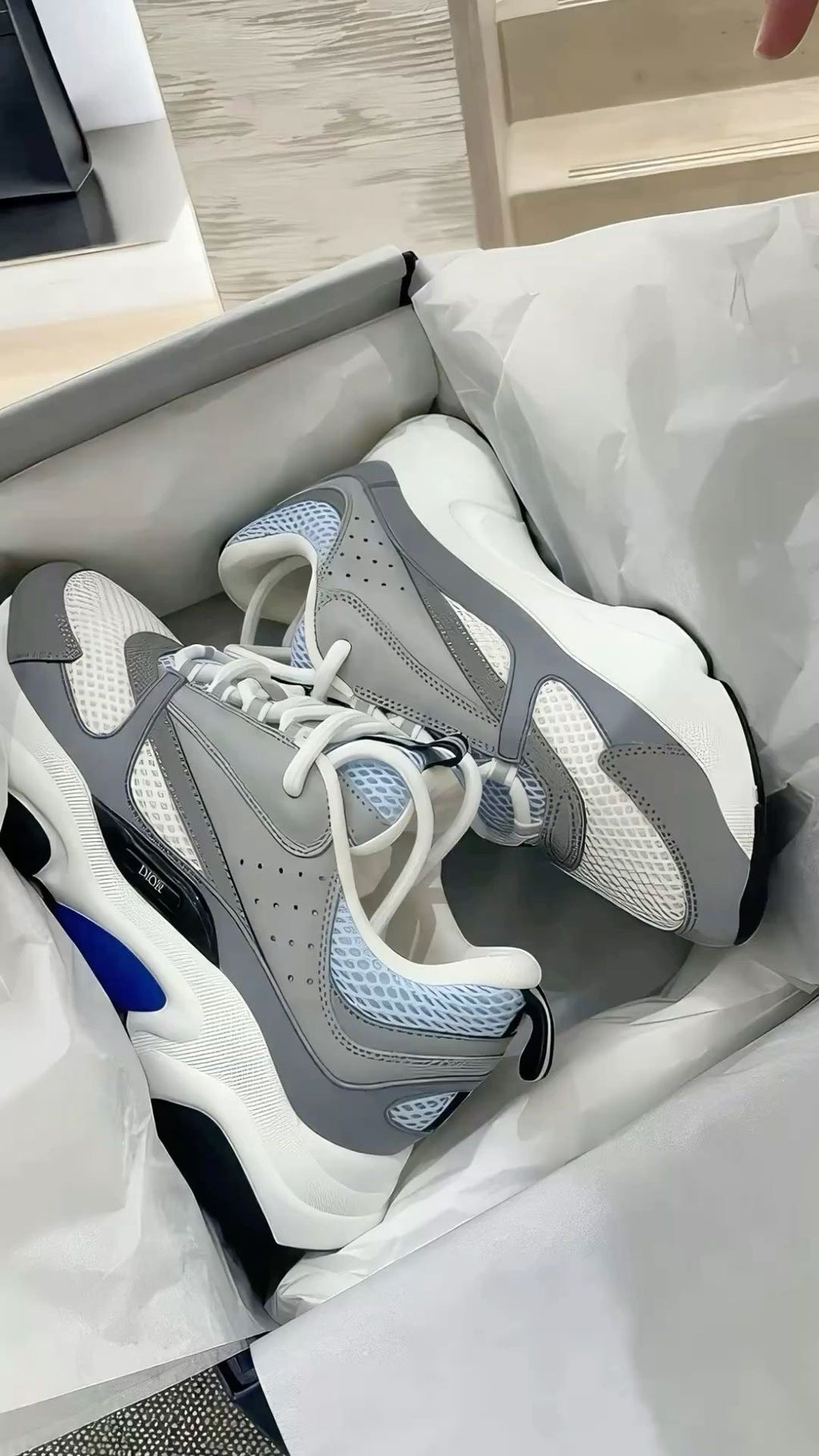 Dior B22