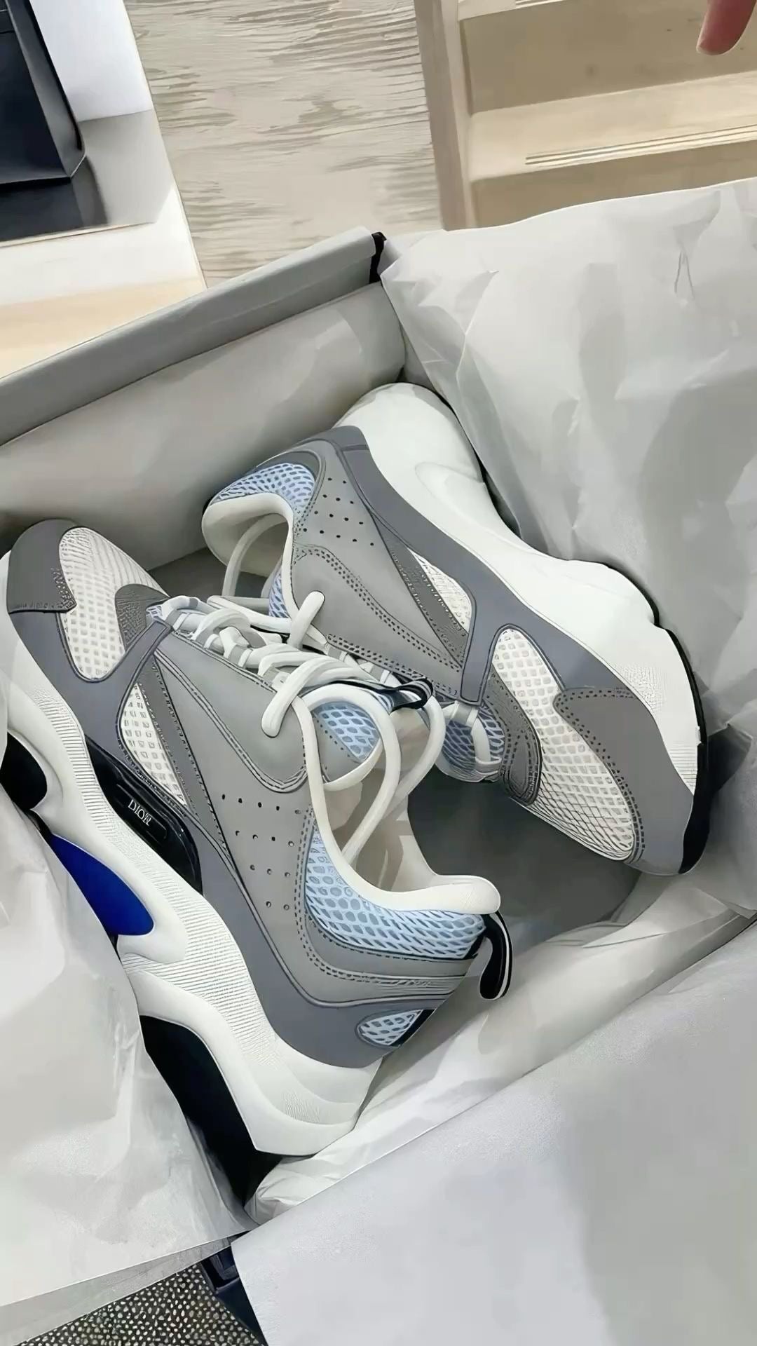 Dior B22