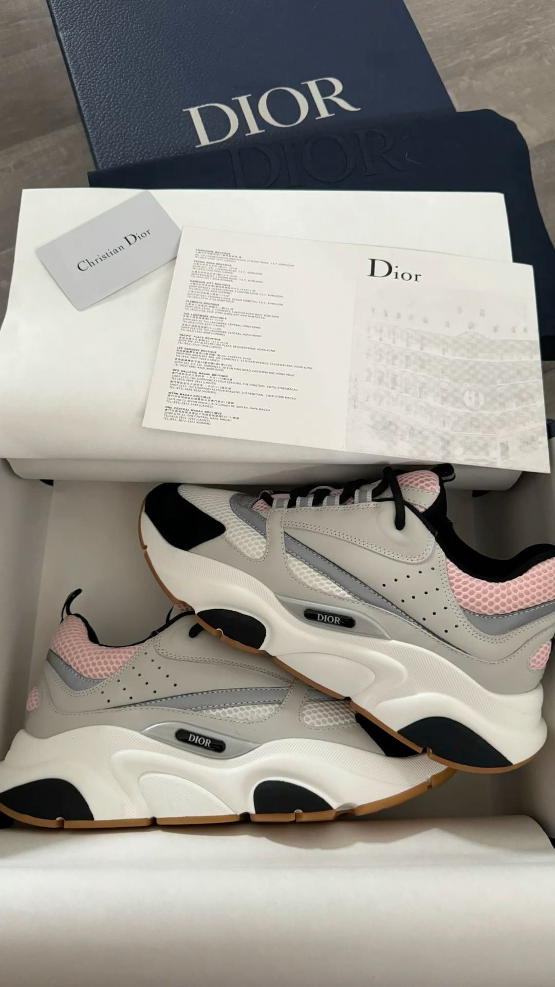 Dior B22