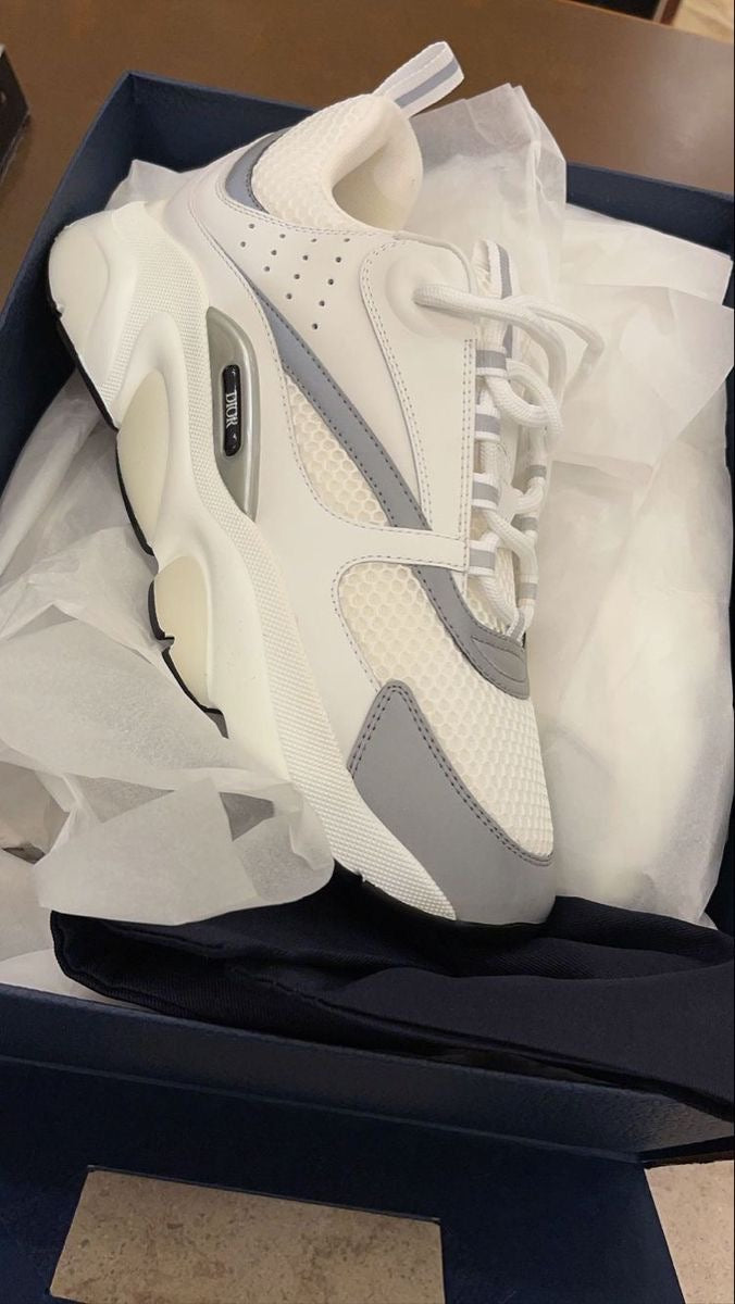Dior B22